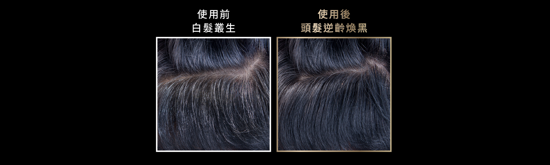 TRICHODERM Shampoo Banner
